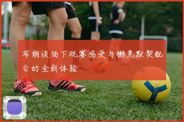 布朗谈场下观赛感受与獭兔默契配合的全新体验